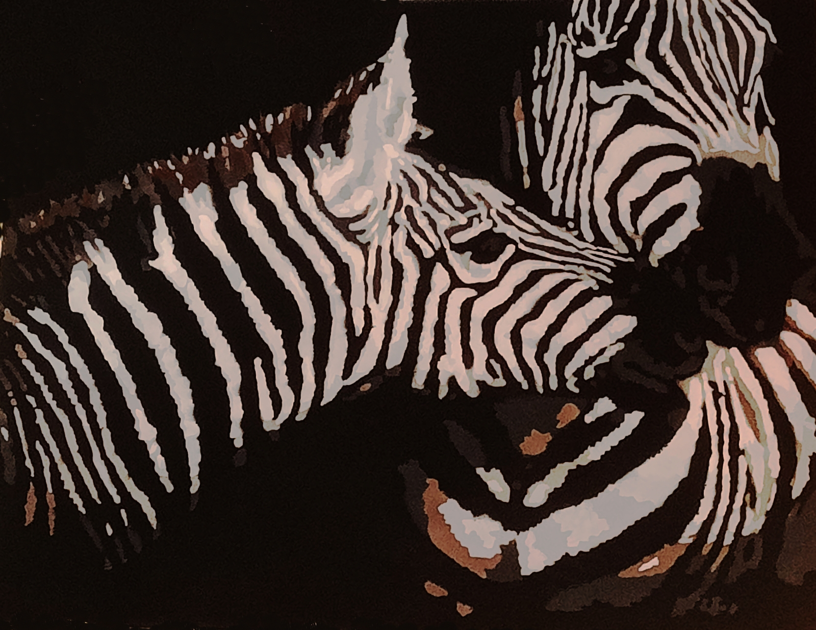 zebras love